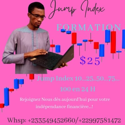 Formation en Trading des Indices de Sautages